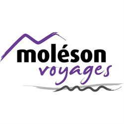 Logo Moléson Voyages SA