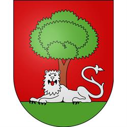 Logo Mairie de Carouge Carouge
