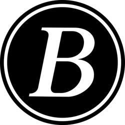 Logo Bicycleddy