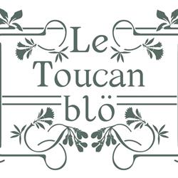 Logo Le Toucan Blo