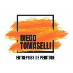 Logo Tomaselli Diego Sàtl Entreprise de peinture Maître fédéral