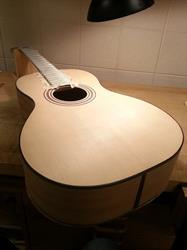 Logo Zanelli Guitars