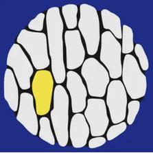Logo Borcea Adrian