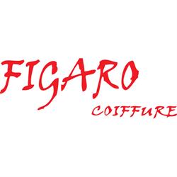 Logo Figaro Coiffure - Coiffeur Fribourg
