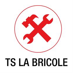 Logo TS La bricole