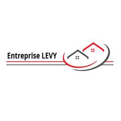 Logo Entreprise Levy