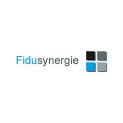 Logo Fidusynergie Sa