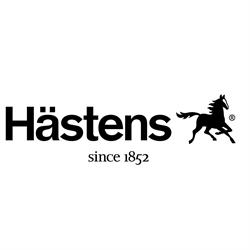 Logo Hstens Store