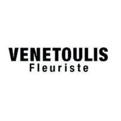 Logo Venetoulis Sa