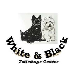 Logo White And Black