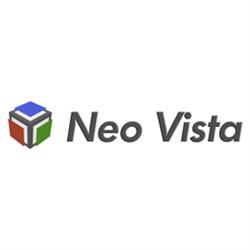 Logo Neo Vista Solutions