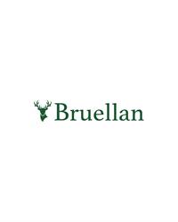 Logo Bruellan SA