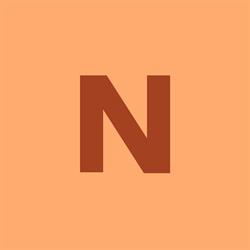 Logo Norm