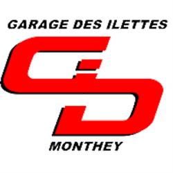 Logo Peugeot & KGM