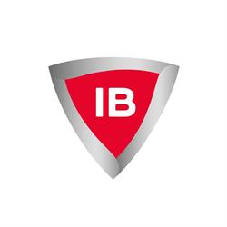 Logo Iron Bodyfit Monthey