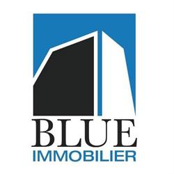 Logo Blue Immobilier SA