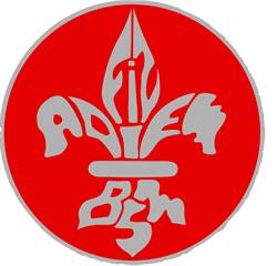 Logo Brigade De Saleuscex - Scouts De Montreux