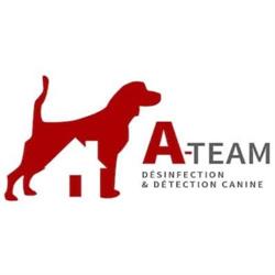 Logo A-Team Désinfection