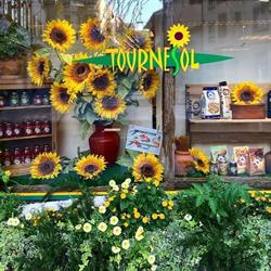 Logo Epicerie Tournesol