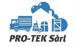 Logo Pro-Tek
